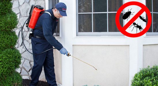 Ürkmez Hamam Böceği İlaçlama böcek ilaçlama ve haşere kontrolü — ilaclama-tr.com